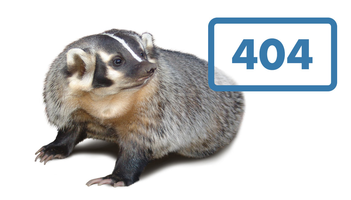 404 Badger